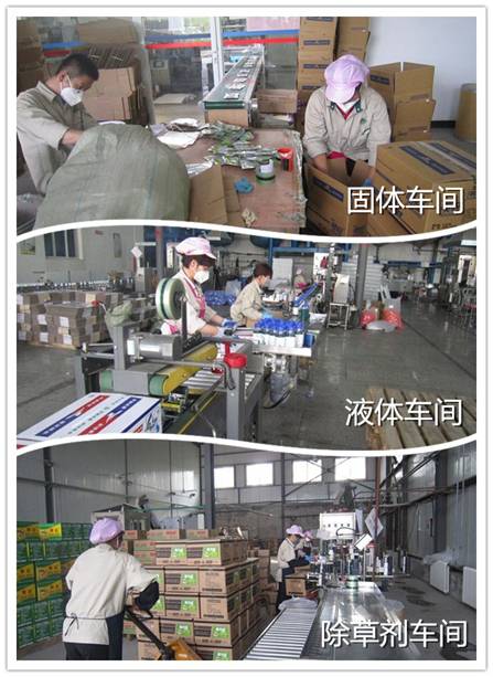 image004.jpg image004.jpg