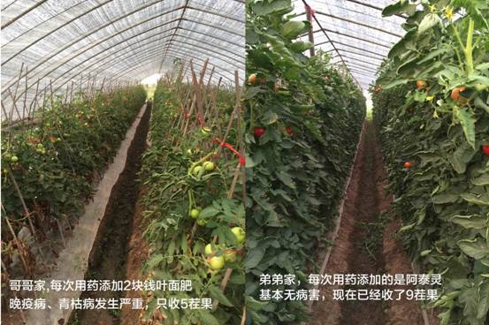 image001.jpg image001.jpg