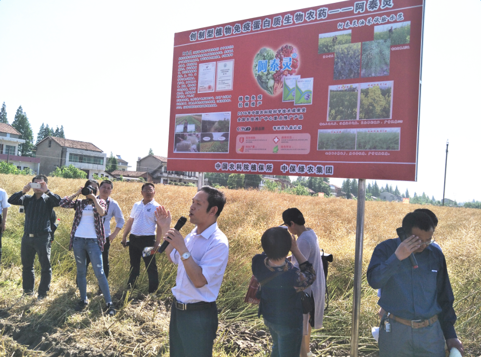 油菜觀摩會(huì)陳總.png 油菜觀摩會(huì)陳總.png