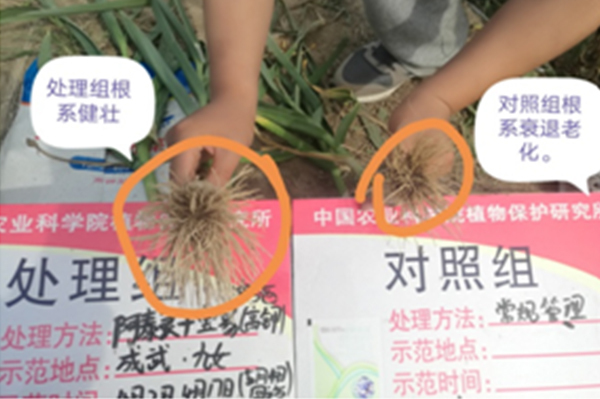 40852d12a5c94e870963054ecf3512ca-sz_139600.jpg 40852d12a5c94e870963054ecf3512ca-sz_139600.jpg