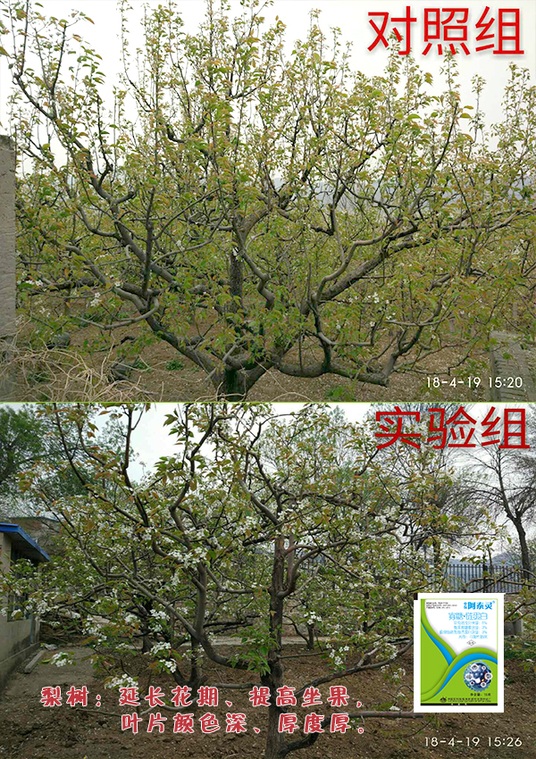 拼圖1.jpg 拼圖1.jpg