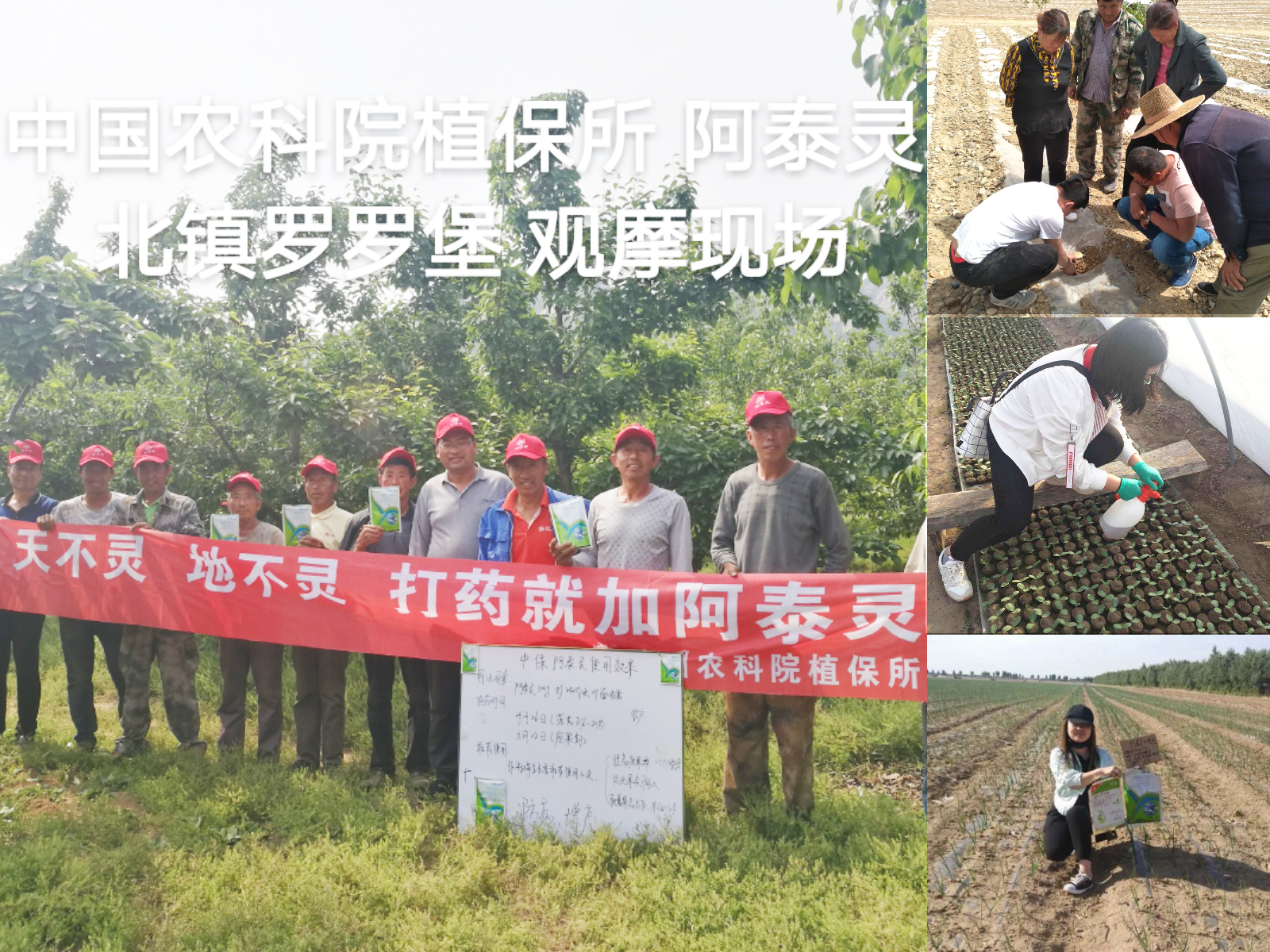 實驗示范與觀摩1.jpg 實驗示范與觀摩1.jpg