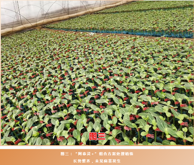 微信4.png 微信4.png