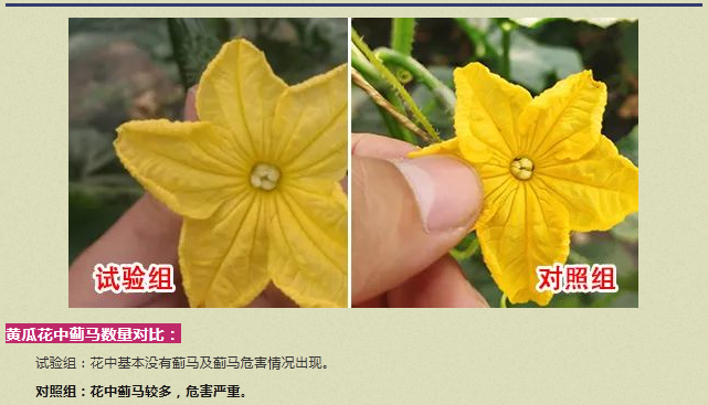 微信3.png 微信3.png