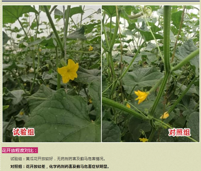 微信4.png 微信4.png