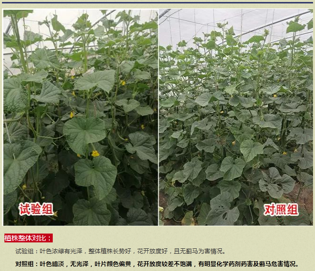 微信5.png 微信5.png