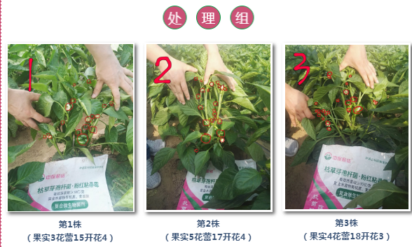 微信3.png 微信3.png