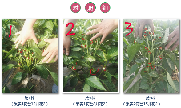 微信4.png 微信4.png