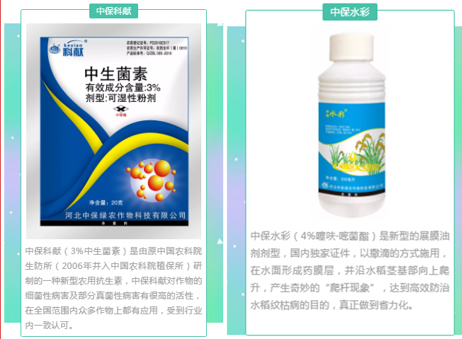 48FC943B-3152-4524-B4AD-FBBBB93346F9.jpg 48FC943B-3152-4524-B4AD-FBBBB93346F9.jpg