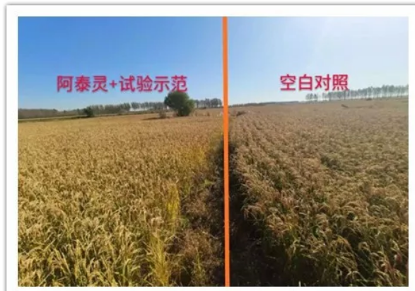 微信3.png 微信3.png