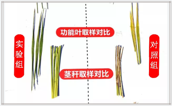 微信6.png 微信6.png