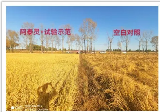 微信10.png 微信10.png