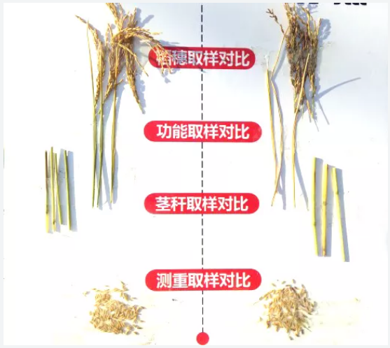 微信11.png 微信11.png