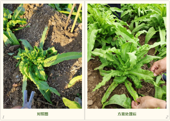 微信4.png 微信4.png