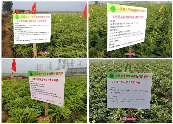 微信5.png 微信5.png