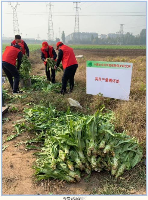 微信6.png 微信6.png