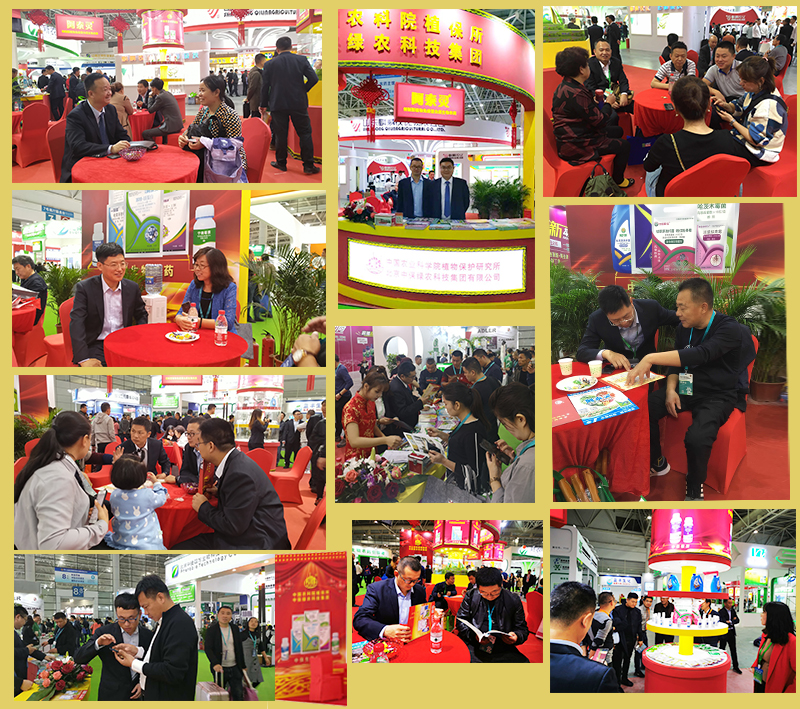 現(xiàn)場(chǎng)咨詢組圖.jpg 現(xiàn)場(chǎng)咨詢組圖.jpg