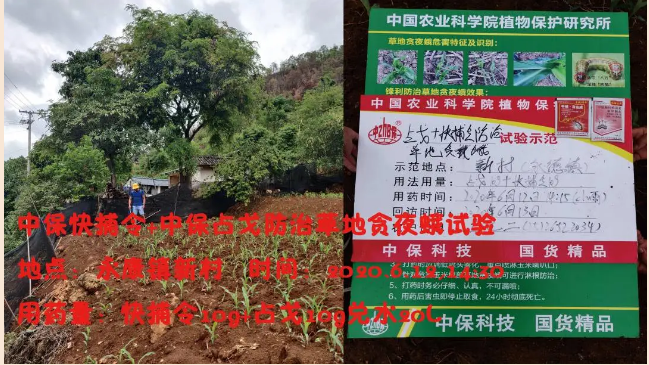 lALPDh0cMPNaG5fNAW3NAok_649_365.png lALPDh0cMPNaG5fNAW3NAok_649_365.png