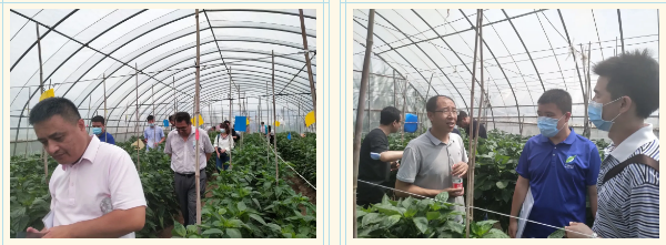 lALPDg7mN_nY6efM3c0CWA_600_221.png lALPDg7mN_nY6efM3c0CWA_600_221.png