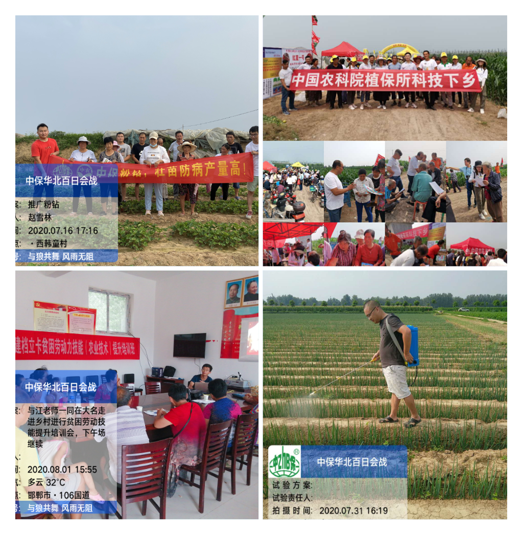 WPS圖片-拼圖 (2).png WPS圖片-拼圖 (2).png