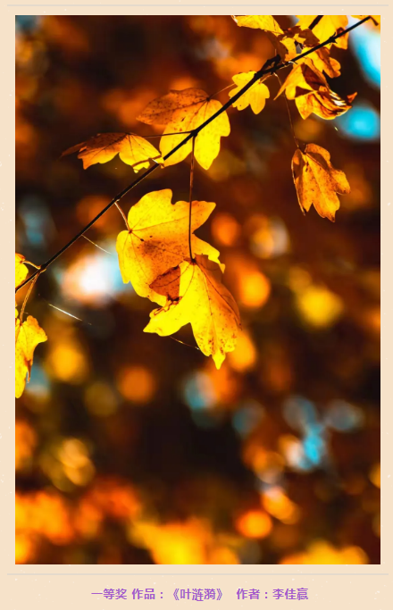 0546F23B-6ACB-4166-9E48-33B3460CFBFE.png 0546F23B-6ACB-4166-9E48-33B3460CFBFE.png