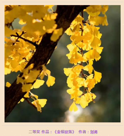 lQLPDhrZ5UCZYyvNAeDNAbWwhgLKFFL4A34Bkj4piEAIAA_437_480.png lQLPDhrZ5UCZYyvNAeDNAbWwhgLKFFL4A34Bkj4piEAIAA_437_480.png