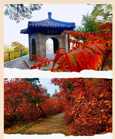 lQLPDhrZ5Wa_AwDNAkPNAeCwAT3Vpcpb8AUBkj5n4sAIAA_480_579.png lQLPDhrZ5Wa_AwDNAkPNAeCwAT3Vpcpb8AUBkj5n4sAIAA_480_579.png