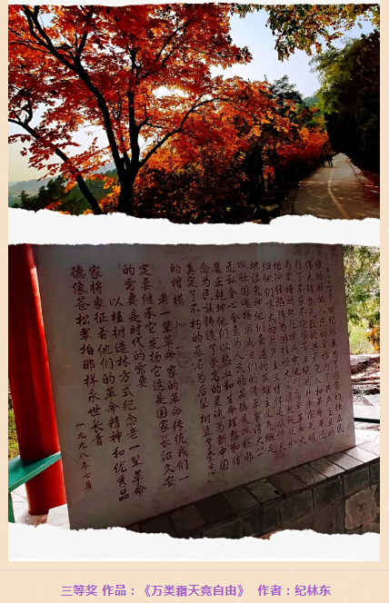 lQLPDhrZ5XublgfNApjNAaywwk6xWyc1qBUBkj6J00AHAA_428_664.png lQLPDhrZ5XublgfNApjNAaywwk6xWyc1qBUBkj6J00AHAA_428_664.png