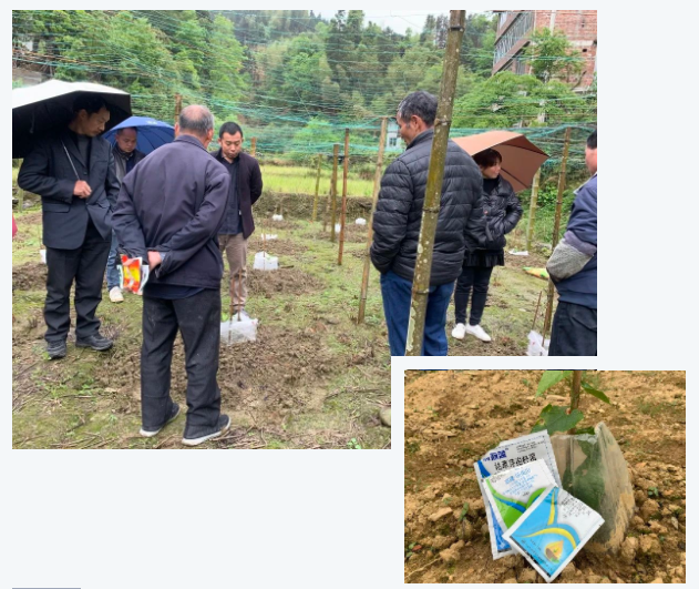 lALPJxuMQiIIoprNAhPNAnc_631_531.png lALPJxuMQiIIoprNAhPNAnc_631_531.png