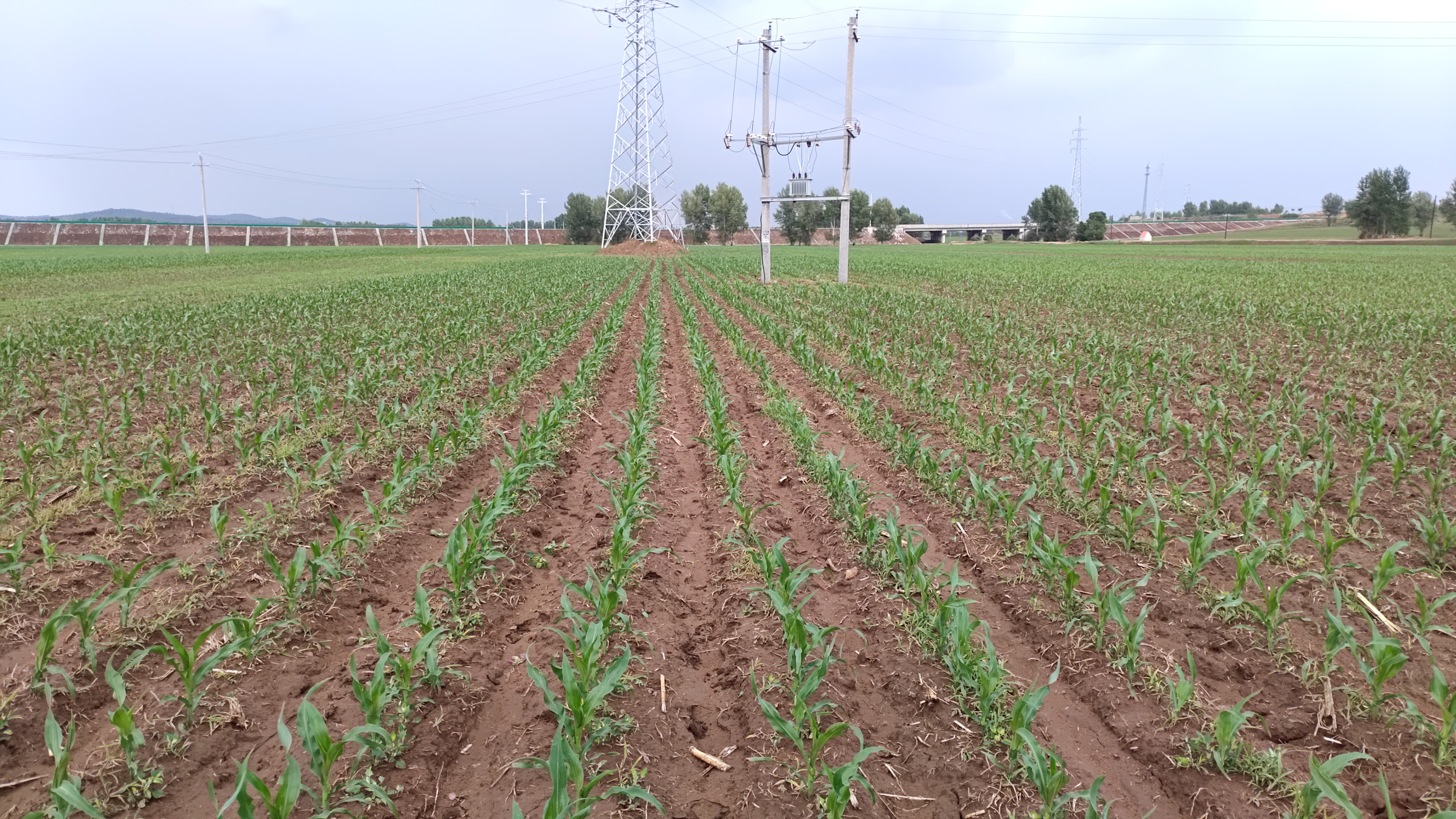 lADPJxRxWxIegdjNCHDNDwA_3840_2160.jpg lADPJxRxWxIegdjNCHDNDwA_3840_2160.jpg