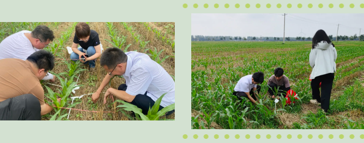 田間地頭1.png 田間地頭1.png