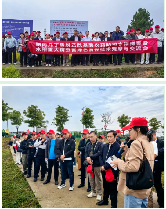 lQLPKGY8vywQPCfNAq3NAiCwQvD692JdGukG_mi4_gTdAA_544_685.png lQLPKGY8vywQPCfNAq3NAiCwQvD692JdGukG_mi4_gTdAA_544_685.png