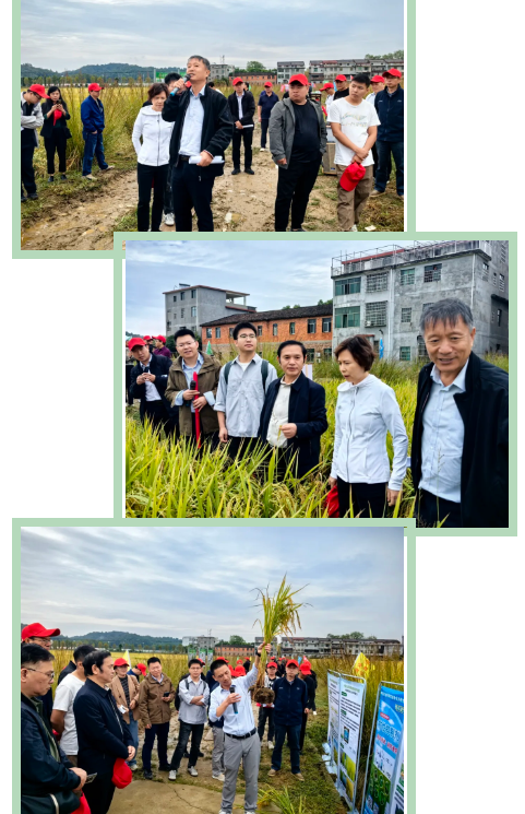 lQLPJwFT_95Ne6fNAunNAeGwJt82XXlu8DAG_mjouajMAA_481_745.png lQLPJwFT_95Ne6fNAunNAeGwJt82XXlu8DAG_mjouajMAA_481_745.png