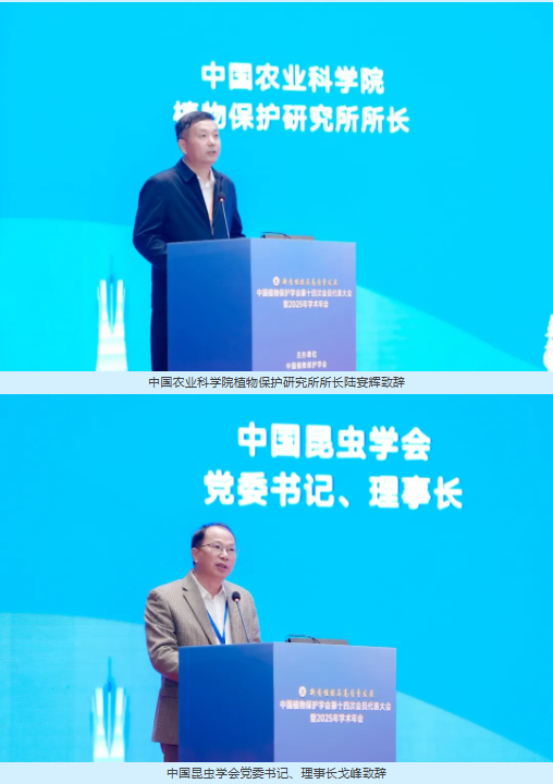 lQLPJxOf5adePZ_NAtDNAfywDYL2r5Me6bUI8ddeRpmlAA_508_720.png lQLPJxOf5adePZ_NAtDNAfywDYL2r5Me6bUI8ddeRpmlAA_508_720.png