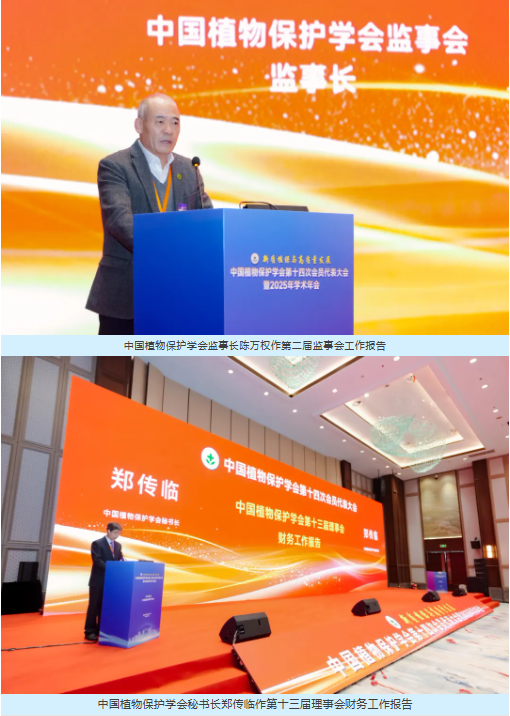 lQLPKejY3nD-mN_NAszNAf6wPedgAX2oMNEI8de5QP4AAA_510_716.png lQLPKejY3nD-mN_NAszNAf6wPedgAX2oMNEI8de5QP4AAA_510_716.png